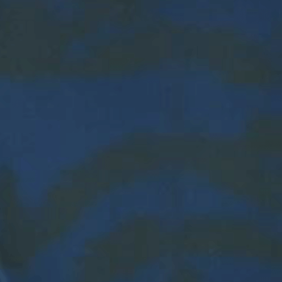Every Day Prints - Leaf Garden - Black/Navy (3-Yard Pack)
