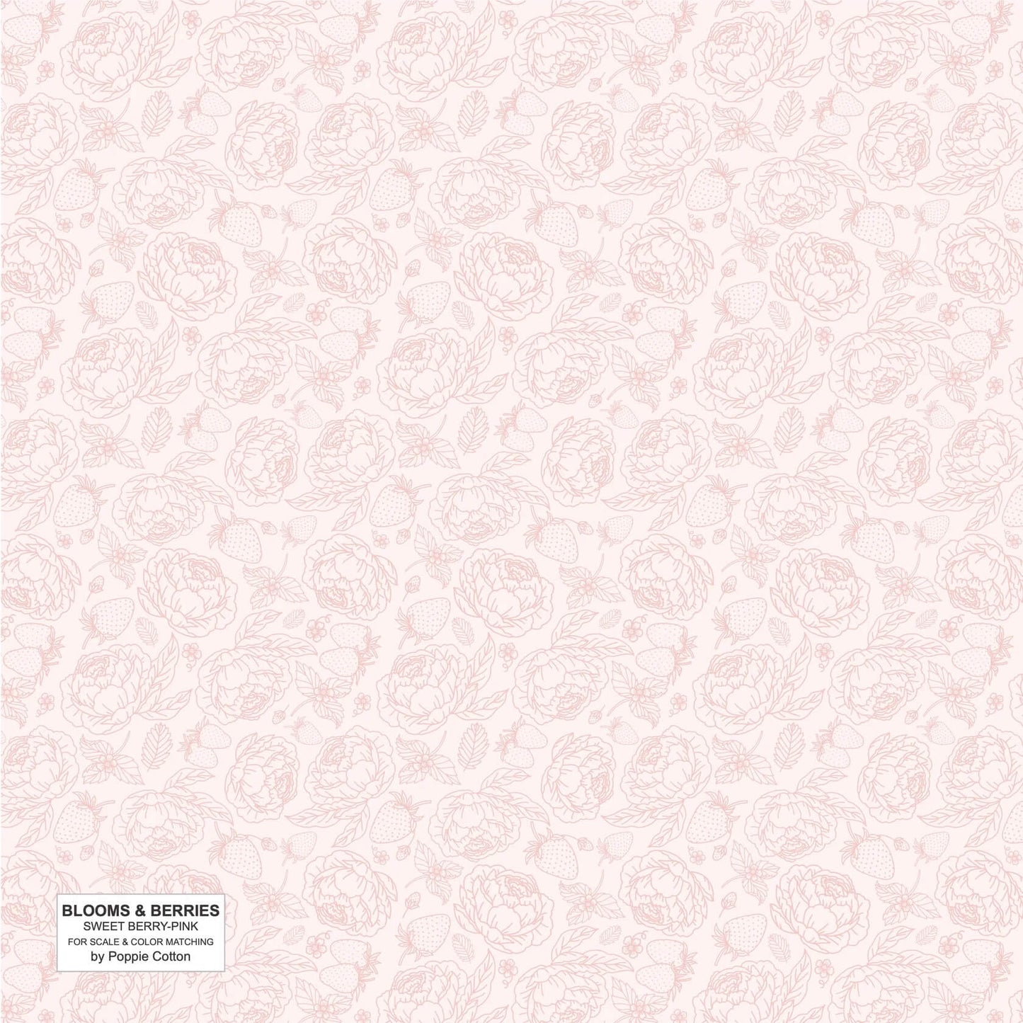 Blooms and Berries - Sweet Berry Pink