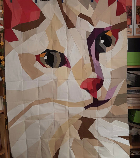 Drum the Cat Pattern