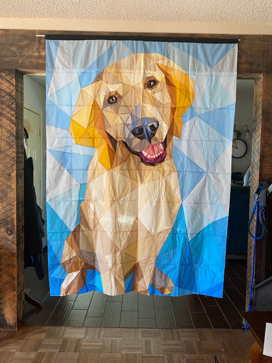 Everest the Retriever Pattern