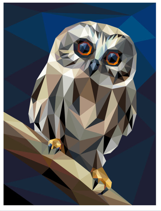 Little Hooter Quilt Kit