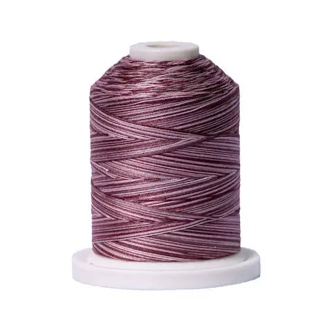 080 Dusty Mauves Signature Cotton Variegated Thread Mini Spool - 40WT