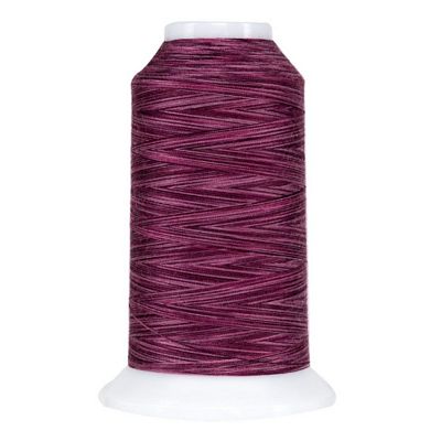 OMNI-V 40 wt Variegated Polyester Thread 2,000 yd - Bumbleberry
