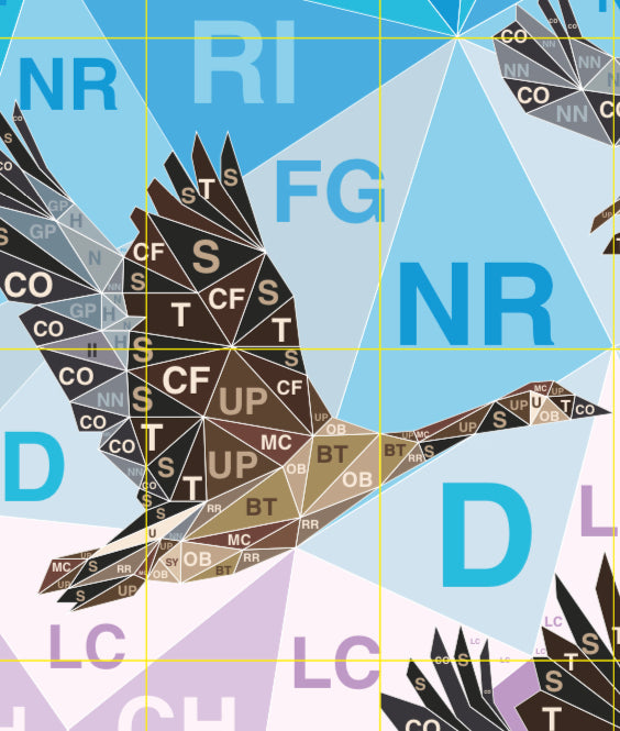 Flying Geese Quilt Kit