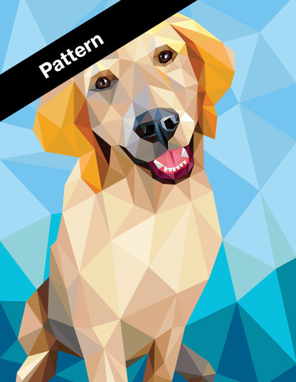 Everest the Retriever Pattern