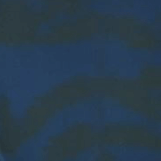 Every Day Prints - Leaf Garden - Black/Navy (3-Yard Pack)