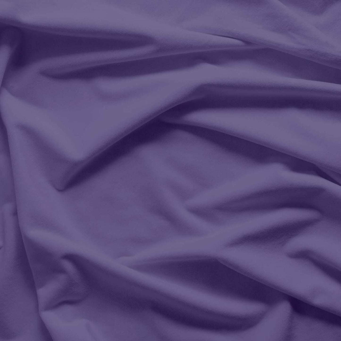 Minky Solid - Purple