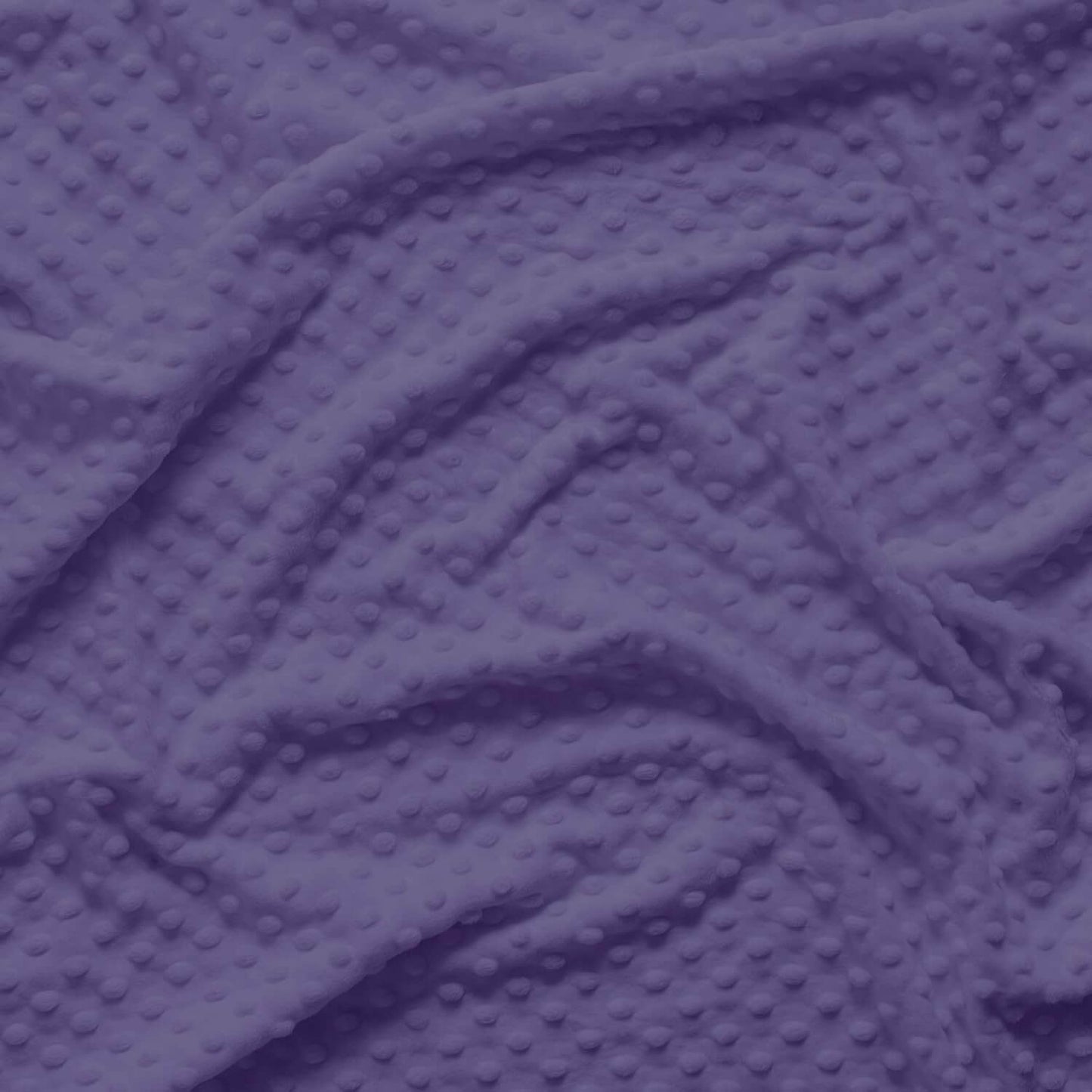 Minky Dot - Purple