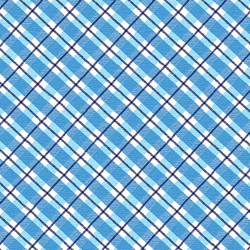 Winter Farm House Plaid - Country Plaid - White/Blue
