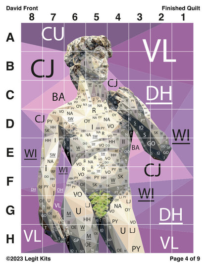 David Front Quilt Kit