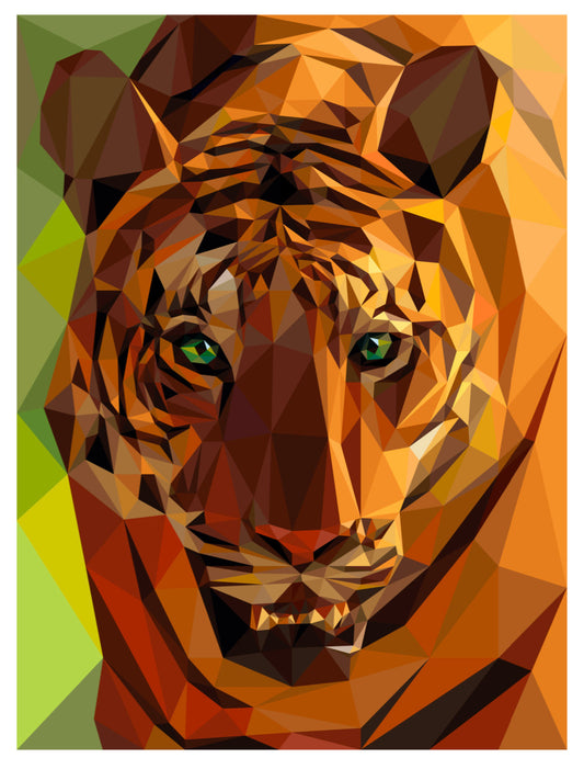 Tiger Pattern