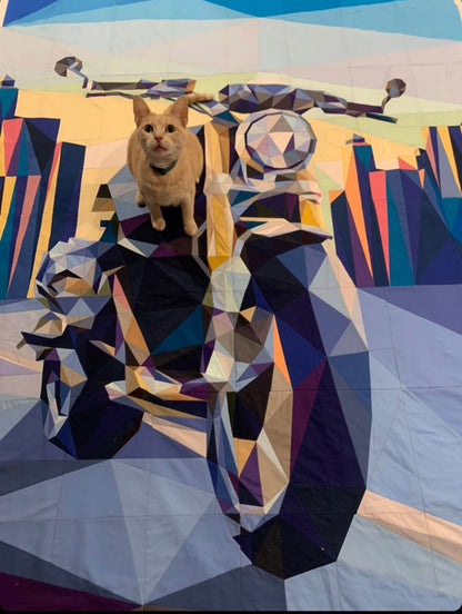 Easy Rider Quilt Kit