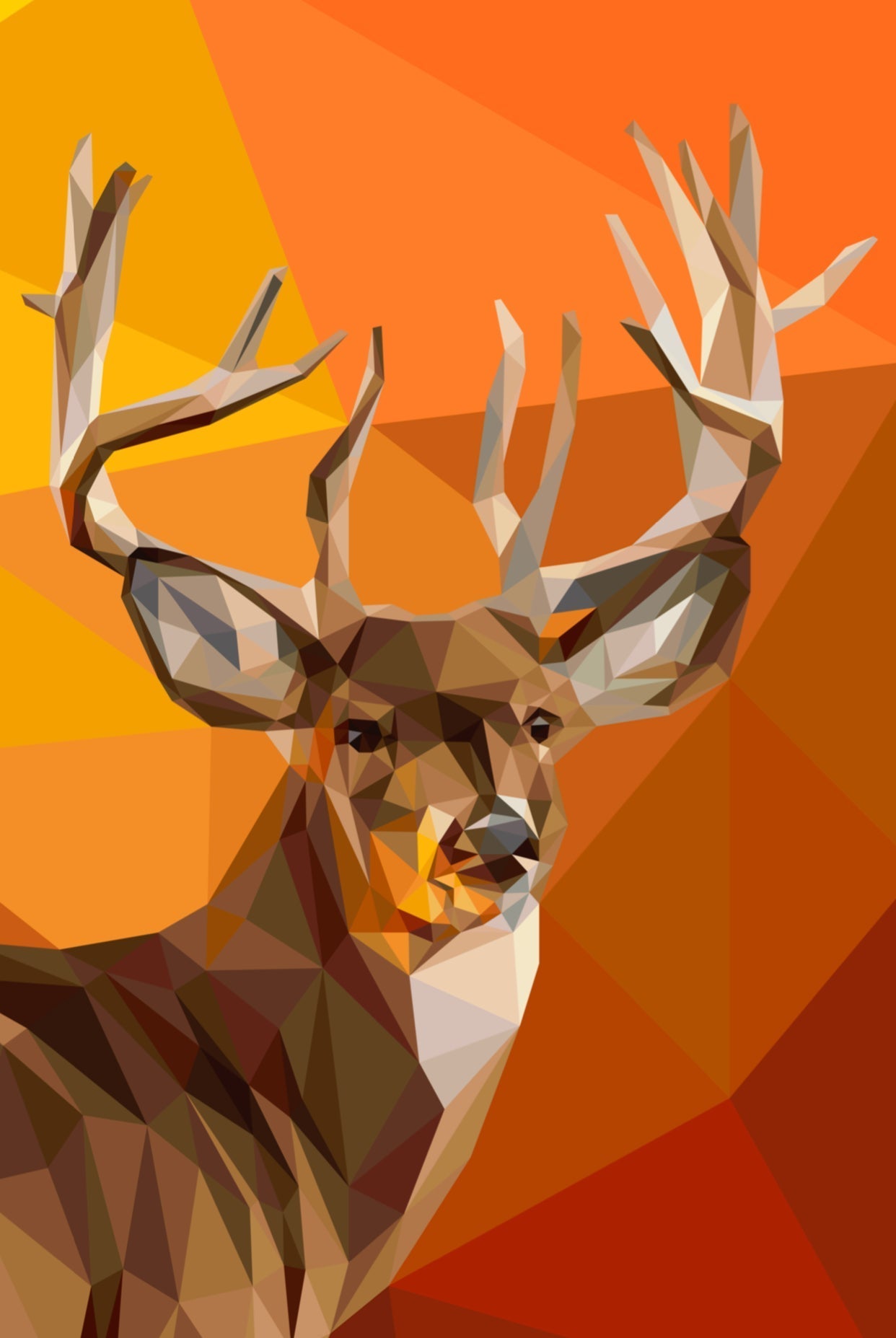 White Tail Buck Pattern