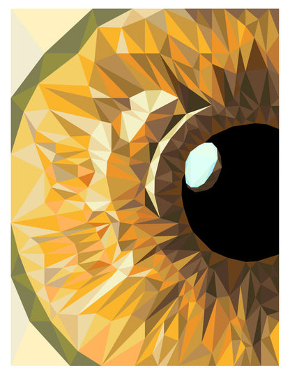Hazel Iris Pattern