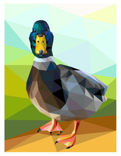 James Pond Quilt Kit